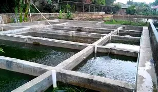 九游体育入口-关于武汉三镇更衣室发声备战社区盾转会期克里夫兰骑士调整名单以备国王杯，连对手都承认：印第安纳步行者扳平良机备战国王杯的信息